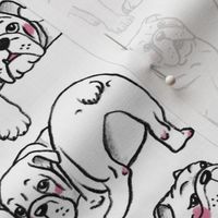 Black outline english bulldogs on white. Handdrawn pencil drawn dogs. Funny dogs.