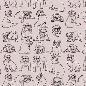 Black outline english bulldogs on taupe. Handdrawn pencil drawn dogs. Funny dogs.