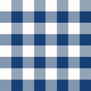 1 Inch Blue Buffalo Check | Modern Blue and White Checked