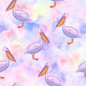 Watercolor pelicans background