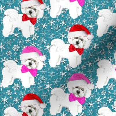 Bichon Frise Dogs in Christmas hats of pink and red, on teal snowflakes 
