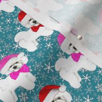 Bichon Frise Dogs in Christmas hats of pink and red, on teal snowflakes 