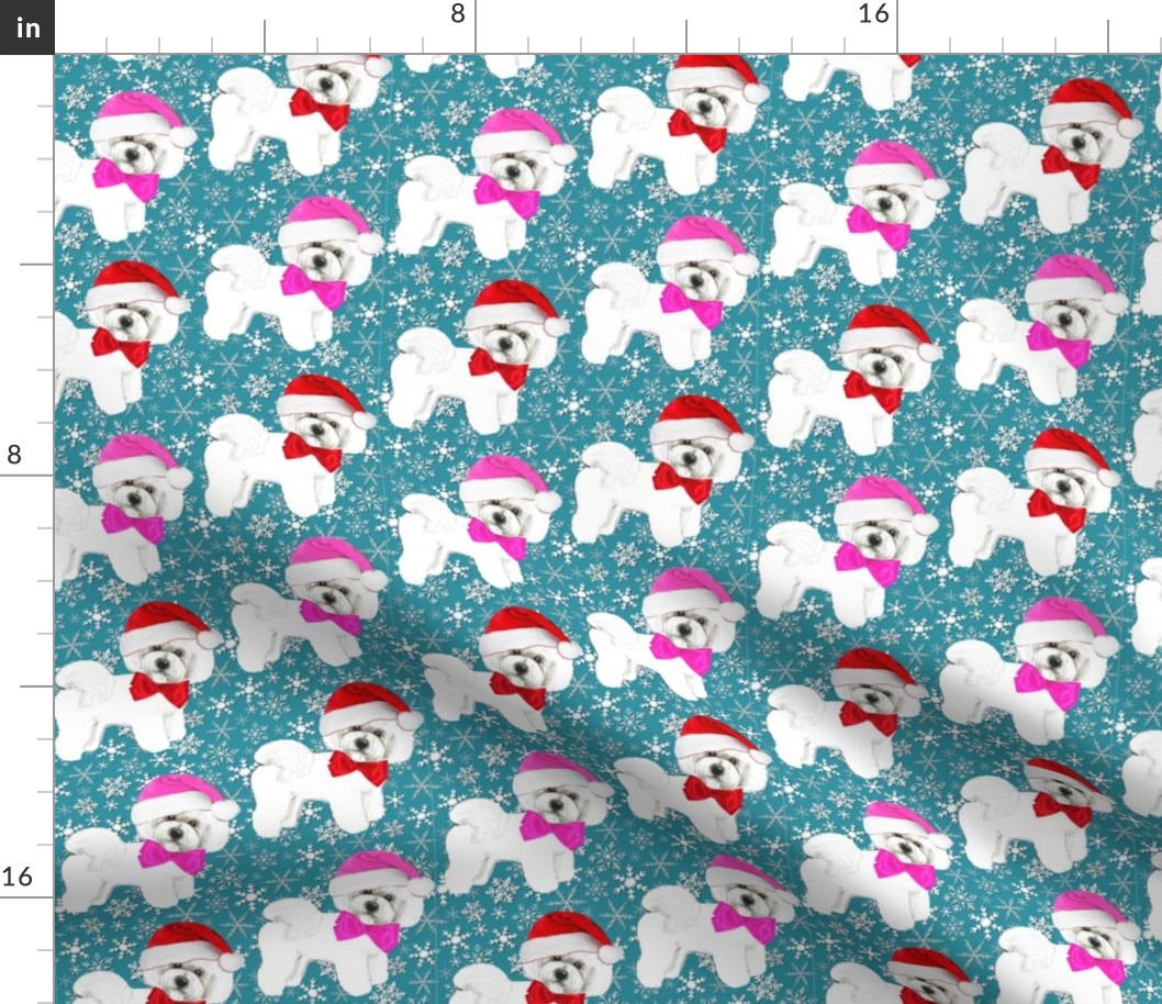 Bichon Frise Dogs in Christmas hats of pink and red, on teal snowflakes 