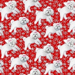 Christmas dogs bichon Frise or Bolognese puppies on red snowflakes 