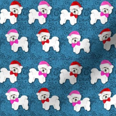 Bichon Frise Christmas dogs with Santa Hats in red and pink on blue lace 