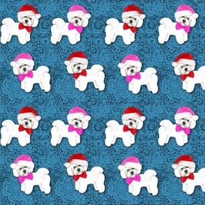 Bichon Frise Christmas dogs with Santa Hats in red and pink on blue lace 