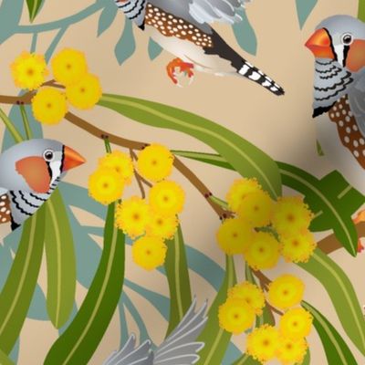 Zebra Finches In The Golden Wattle-L