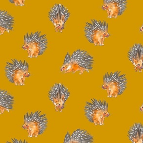 https://garden.spoonflower.com/c/13590577/p/f/m/LbCkvsR7nPvHSb4yvJYZGo5jaRIpaTG41qyLWDBnWAghHAyINJuJFEAwww/Porcupine%20Parade%2C%20Small%20Scale.jpg