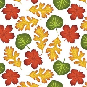 Maple, Oak, and Redbud Fall Leaves