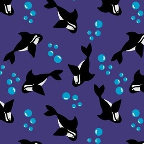 Orca Whale and Bubbles on Purple Background