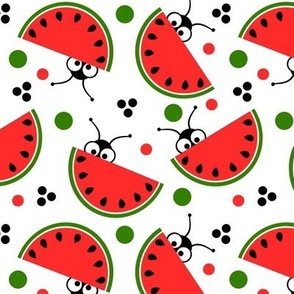 Watermelon with Peekaboo Picnic Ant