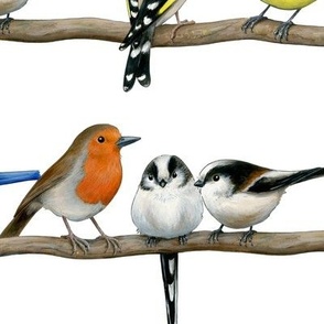 British Garden Birds on white - large scale