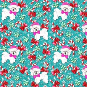 Christmas dogs with candy canes and Santa hats in pink and teal // Bichon Frise Dogs Christmas hats