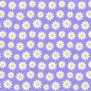 White daisies and spiralson purple 