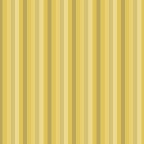 Chroma stripes golden mustard