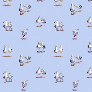 Grumpy Seagulls - on blue - medium (10 inch)