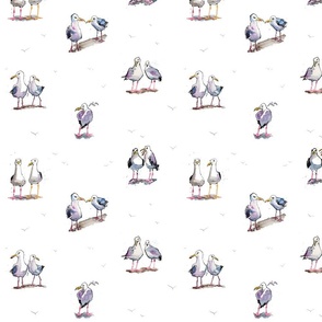 Grumpy Seagulls - on white - medium (10 inch)