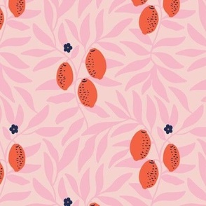 Morris Kumquats - pink