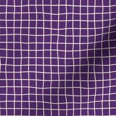 Whimsical White Cement Grid Lines on a deep purple background