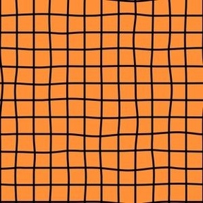 Whimsical black Grid Lines on a Soft Retro Orange background