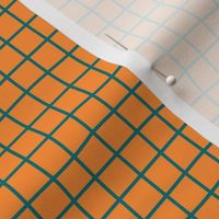Whimsical teal Grid Lines on a Soft Retro Orange background
