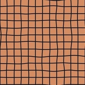 Whimsical graphite Grid Lines on a terra cotta background