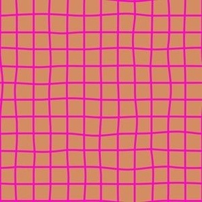 Whimsical fuchsia Grid Lines on a Terracotta background