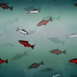 Fish Traffic (light)