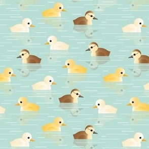swimming ducks - small