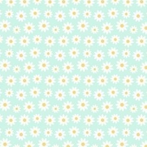 White daisies on aqua