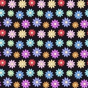 Rainbow daisies on black 