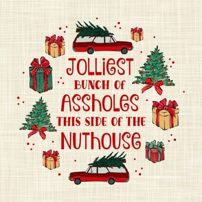 18x18 Panel Jolliest Bunch of Assholes This Side of the Nuthouse Sarcastic Sweary Christmas for Throw Pillow Square Placemat or Cushion Cover