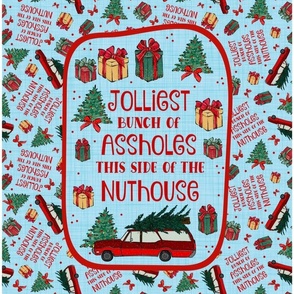  14x18 Panel Jolliest Bunch of Assholes This Side of the Nuthouse Sarcastic Sweary Christmas for DIY Garden Flag Banner Kitchen Towel or Smaller Wall Hanging