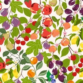 Orchard Fruits and Berries / Mix