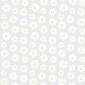 White daisies on light grey