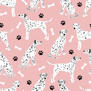 Dalmatian Paws and Bones Pink