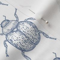 Beetle Bug Blue - Smal Scale