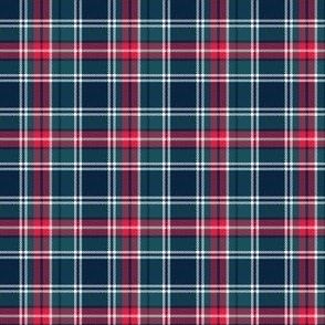 Holiday Tartan Plaid - D (mini)