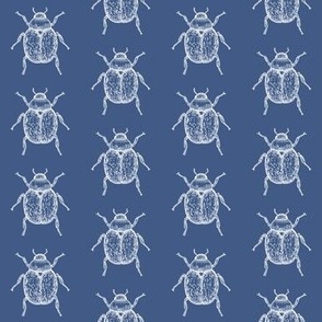 beetle bug on blue background 