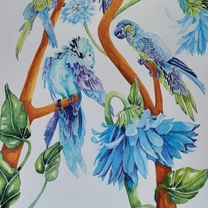 Parrot Florals Large 