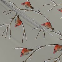 Red Cardinal Perched on a snow covered tree branch - Medium Scale