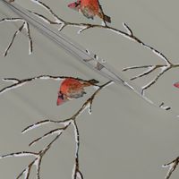 Red Cardinal Perched on a snow covered tree branch - Large Scale