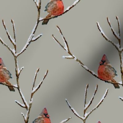 Red Cardinal Perched on a snow covered tree branch - Large Scale