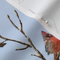 Red Cardinal Perched on a Tree Branch - Large Scale