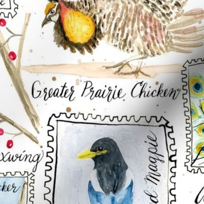 Watercolor Birding Stamps // Large