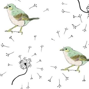 Birds and dandelion