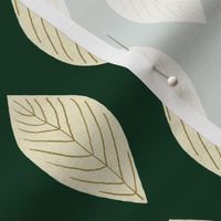 Simple deciduous leaf - forest