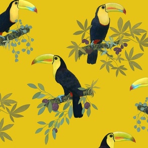 Funny party with toucans on yellow