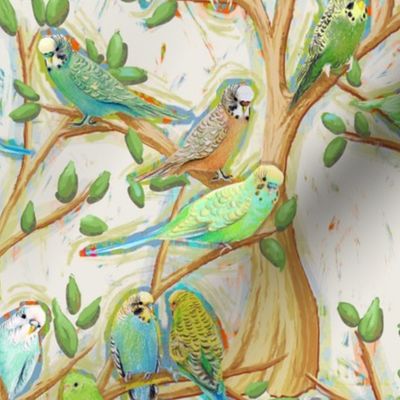 budgie parakeets on a sunny afternoon