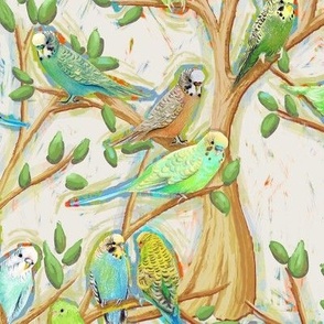 budgie parakeets on a sunny afternoon